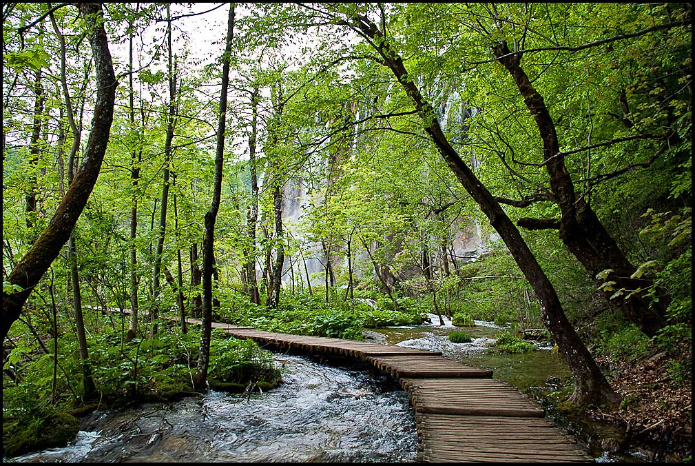 Laghi di Plitvice-Croazia-